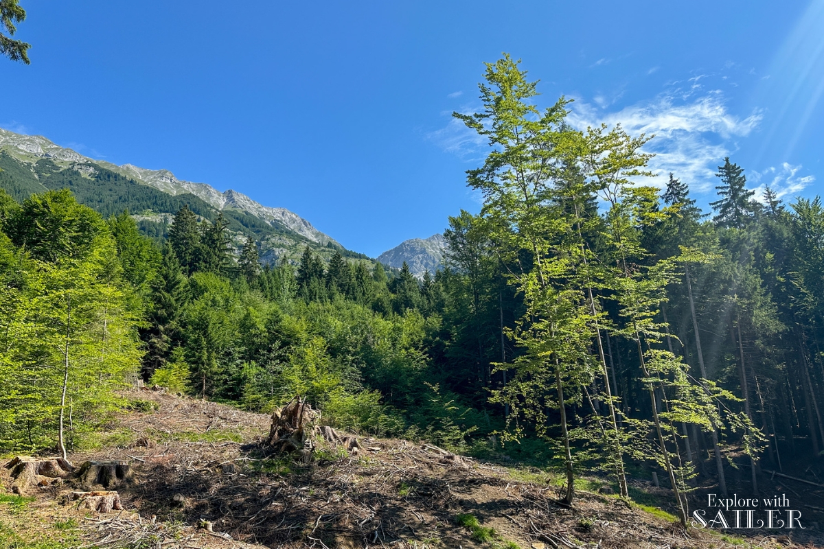 ein-ausflug-zur-arzler-alm
